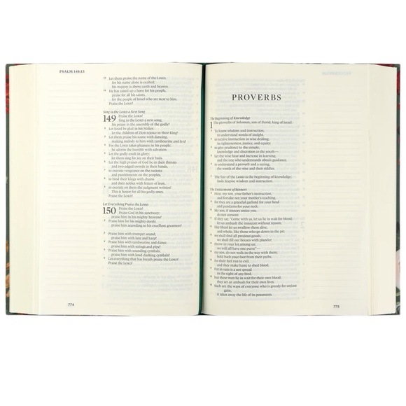 ESV Large Print Journaling Bible: Hollis Theme - Picture 3 of 3